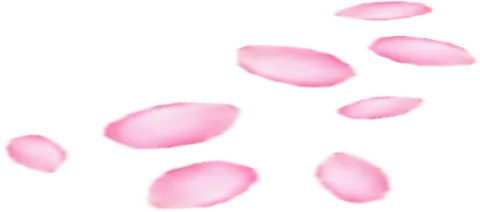 Petals01 Art