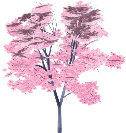 Sakura01 Art