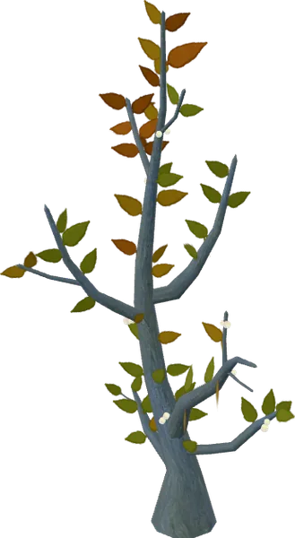 Bush03