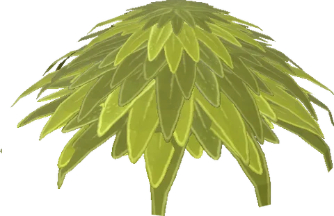 Bush08