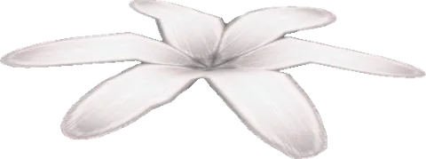 Flower01