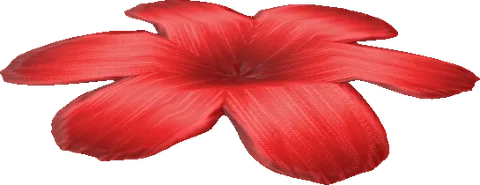 Flower02