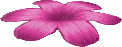 Flower03