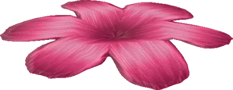 Flower05