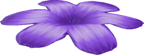 Flower07