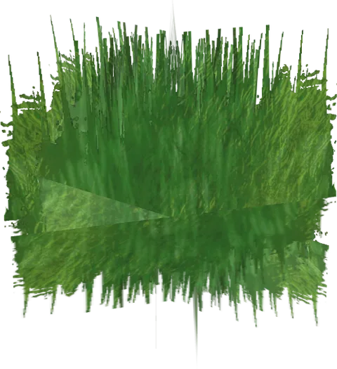 Grass04