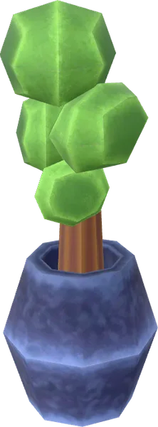 Pot Plant