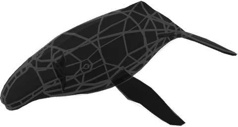 CAIO Whale 01