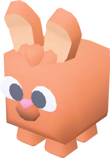Animal Bunny
