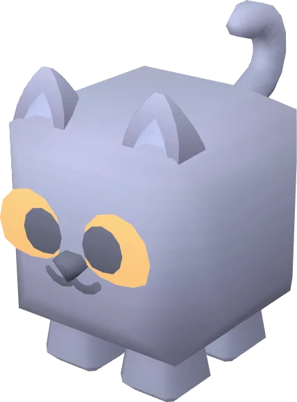 Animal Cat