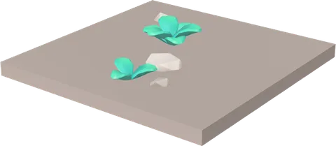 Floor Dirt Small Weeds