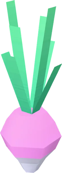 Beet