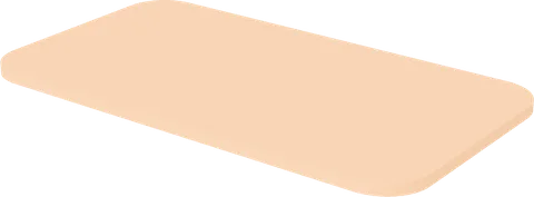 Rug Doormat