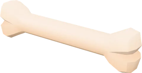 Bone C