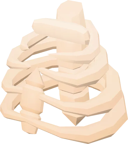 Ribcage