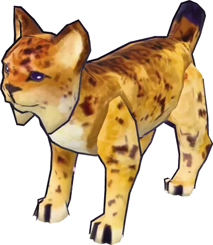 Mountain Lion
