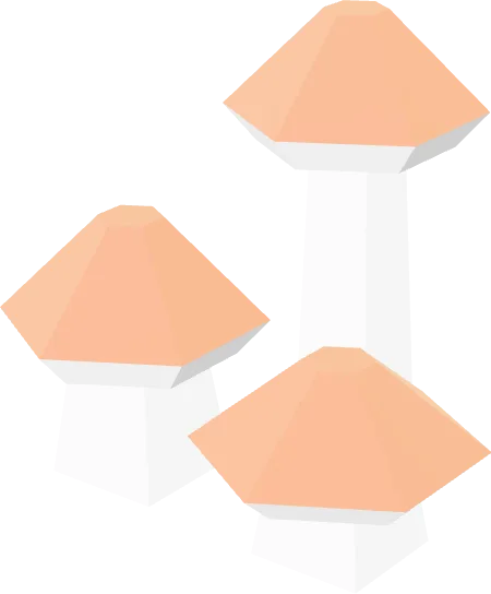 Mushroom Tan Group