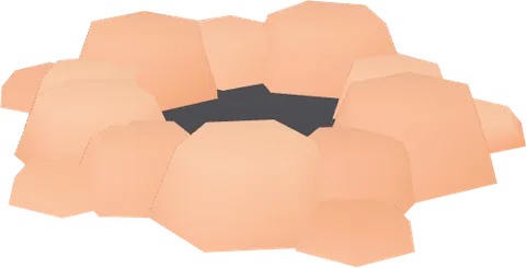 Hole