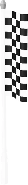 Flag Checkers