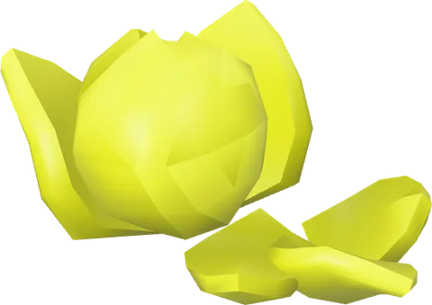 Food Ingredient Lettuce Chopped