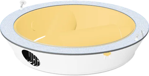 Laser Interferometer Space Antenna (LISA) (2006)