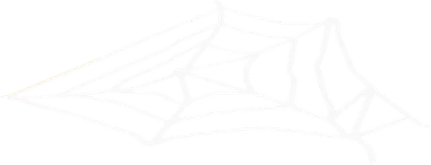 Spiderweb Art