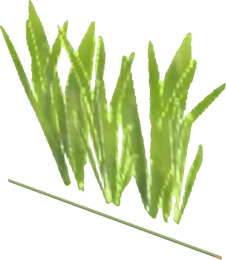 Grass01 Art