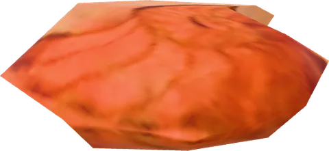 Colony Shell Art