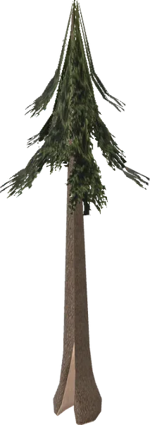 Love Death Big Pine Art