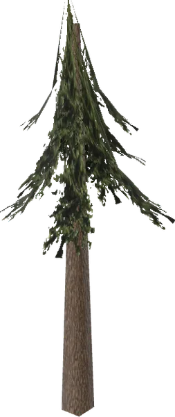 Love Death Pine Art
