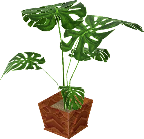 Plant 01 Art