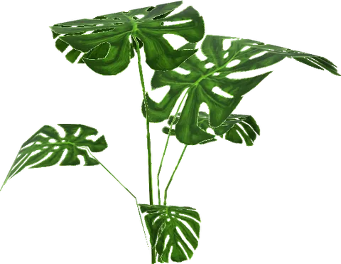 Plant 02 Art