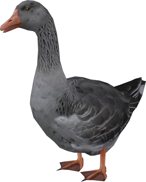 Goose