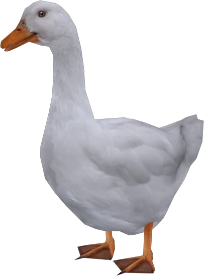 Goose